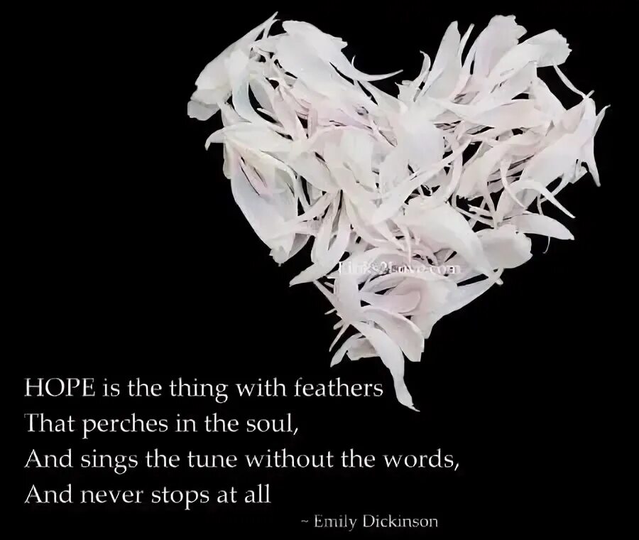 Hope is the thing with feathers. Hope is the thing with feathers honkai. Hope is the thing with feathers. Hope is the thing with feathers. As light as a feather idiom.
