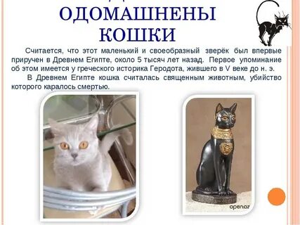 Изложение кошка была приручена в древнем египте