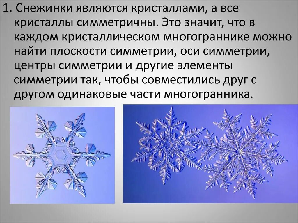 Что обозначают снежинки. Снежинки для презентации. Самая большая снежинка в мире. Снежинка это живая природа или нет. Формы снежинок.