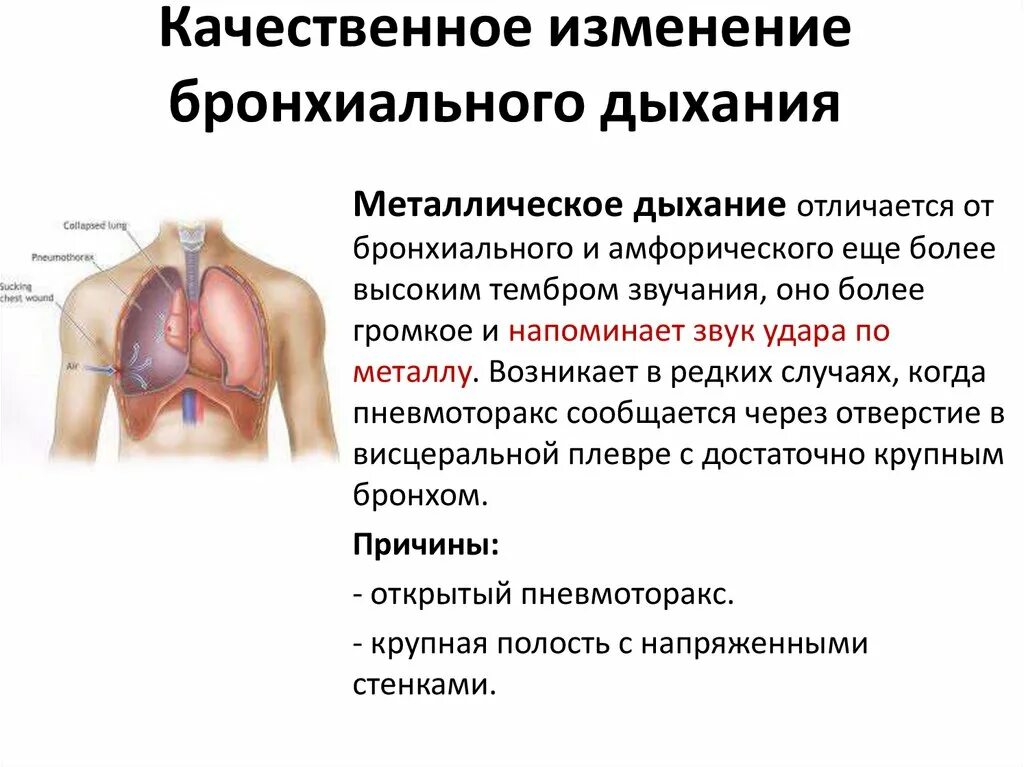 Почему изменилось дыхание. Аускультация дыхания. Тип дыхания при бронхите. Амфорическое бронхиальное дыхание. Металлическое бронхиальное дыхание.