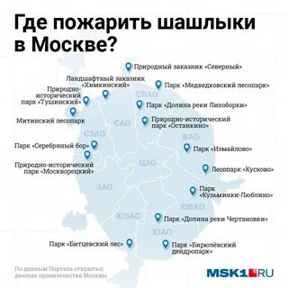 Где в москве можно пожарить шашлык и покупаться