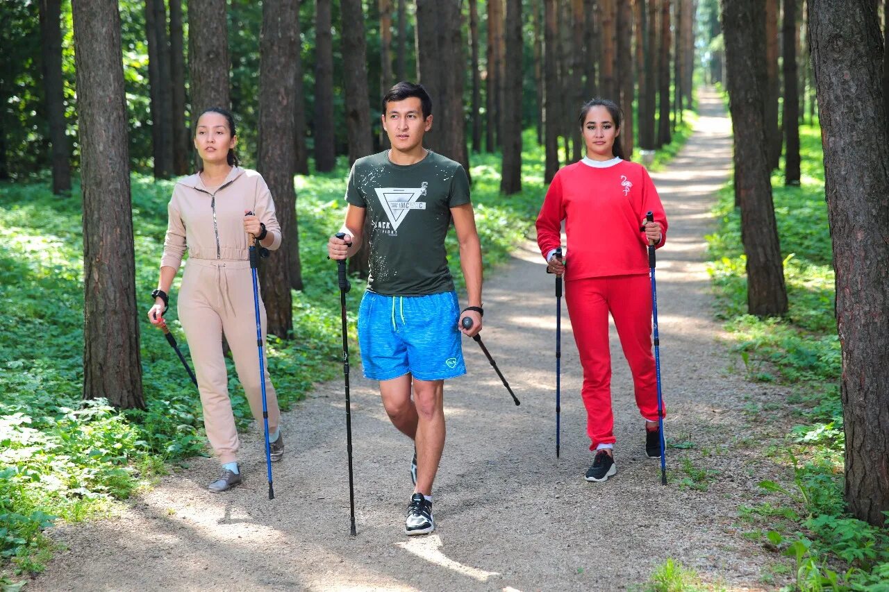 Скандинавская ходьба в лесу. Терренкур в санаторий красноусольск. Терренкур лфк. Курортный парк кисловодск терренкуры. Терренкур ходьба.