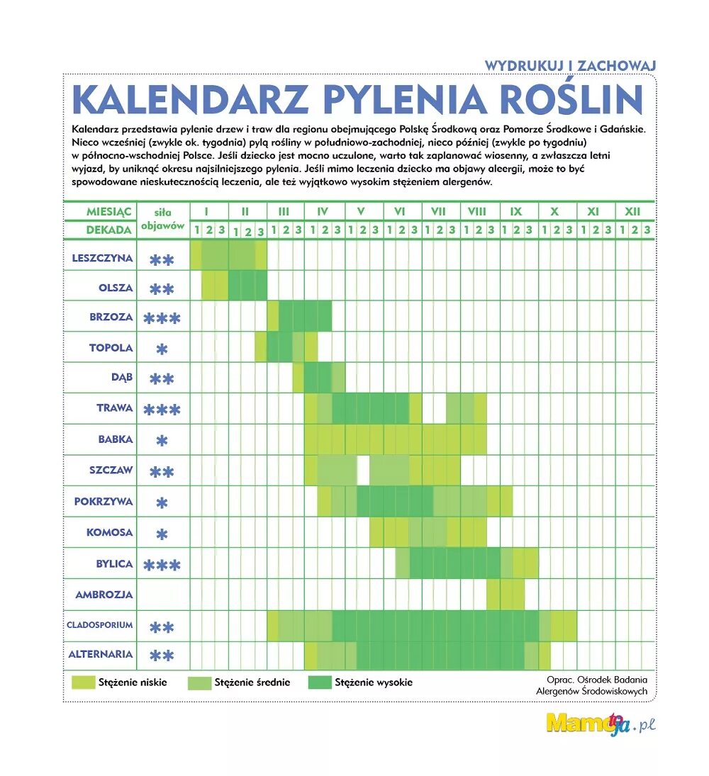 Можно ли в период цветения. Таблица цветения для аллергиков 2022. График цветения для аллергиков. Периоды цветения для аллергиков. Цветение по месяцам для аллергиков.