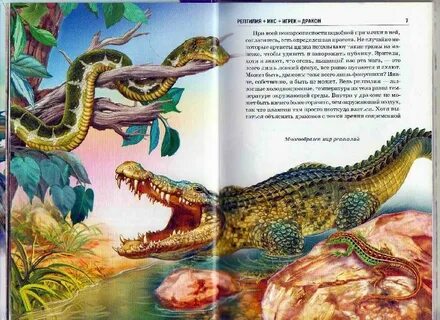 Слушать книгу дракон