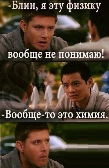 Биатлон юмор. Кот непонятно. Кот делает отчет. Я эту физику вообще не понимаю. Я вообще не понимаю как в биатлоне можно прийти вторым.