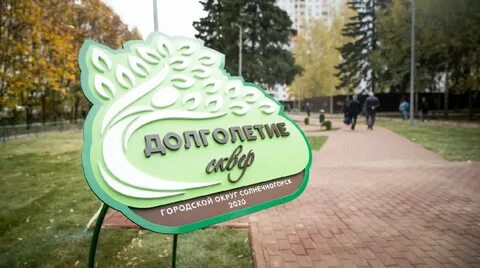 Зеленоград солнечногорск