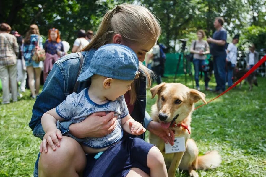 Гуманное отношение к животным. Гуманное отношеник животным. Гуманное отношение к животным. Милосердие к животным. Добро к животным.