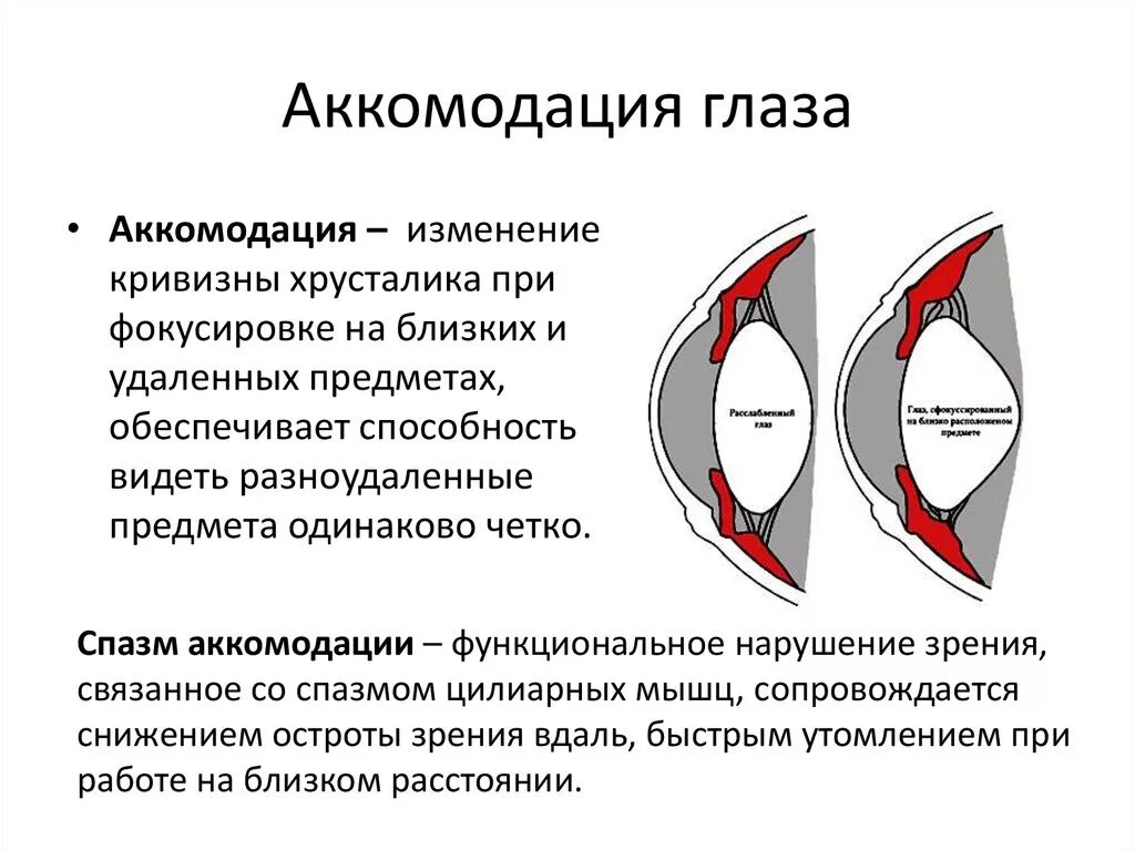 Какая структура обеспечивает аккомодацию. Аккомодация (понятие аккомодации, механизм). Процесс аккомодации глаза анатомия. Строение глаза аккомодация. Аккомодационный аппарат глаза схема.