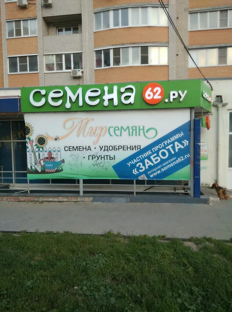 Рязань новая улица 106 мир семян. Магазин семена рязань канищево. Магазин семян рязань мир интернет. Семена 62. Семена 62.