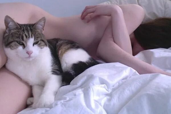 Девушка с котом на руках и голой киской между ног фото