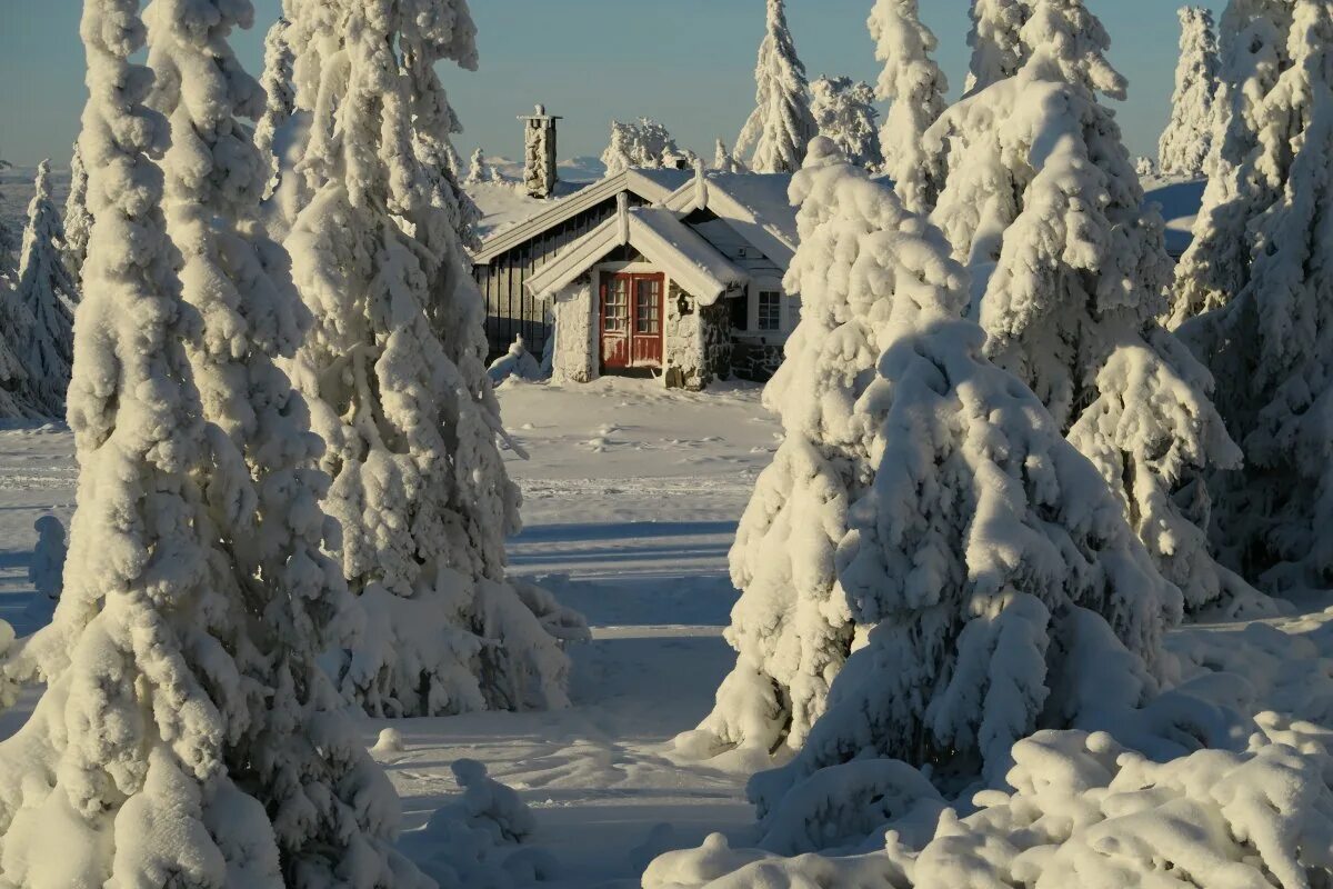 Красота зимы. Природа зимой. Красивая зима. Чудеса зимней природы.