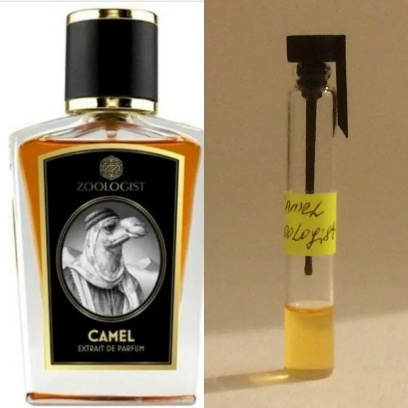 Zoologist perfumes. Camel zoologist Perfumes. Zoologist Perfumes Bee. Духи хамелеон. Хамелеон духи мужские.