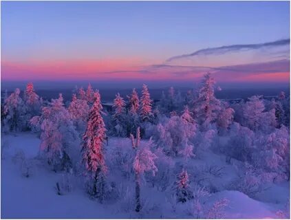Край холод