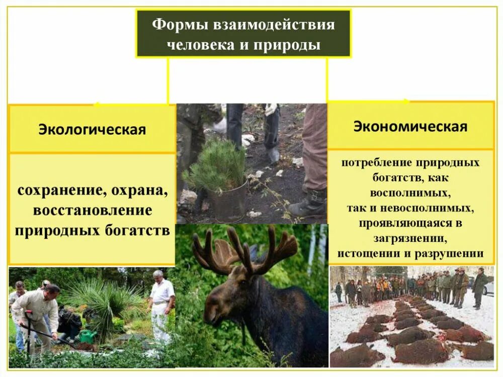 Примером взаимодействия общества и природы является. Взаимодействие человека и природы. формы взаимодействия общества и природы. формы взаимодействия человека и природы экологическая экономическая. общество и природа взаимодействие общества и природы.