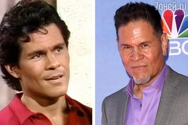 продолжительность жизни деревьев окружающий мир таблица. сколько лет карлассону. сколько их лет. решение задачи оля старше вани. сколько лет было карлсону.