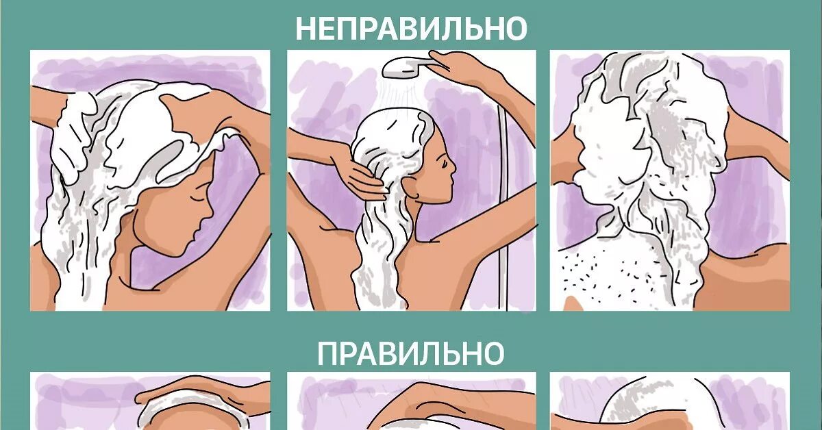 Сколько раз в неделю можно мыть. Как правило мыть голову. кпк праыильная мыть годову. какак правильно мыть голову. как праваильномытьголову.