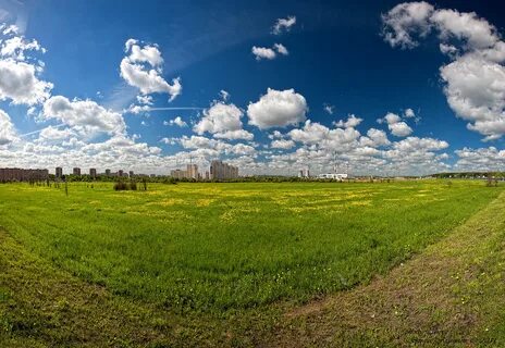 Таганское поле