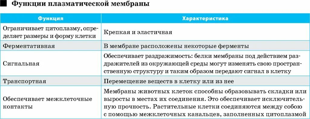 Мембрана описание и функции таблица. Функции плазматической мембраны таблица. функции плазматической мембраны. функции плазматической мембраны в клетке 9 класс. плазматическая мембрана таблица.