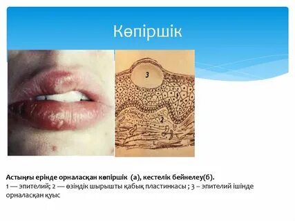 Порно мама әке ұлы мен қызы отбасылық топтық секс