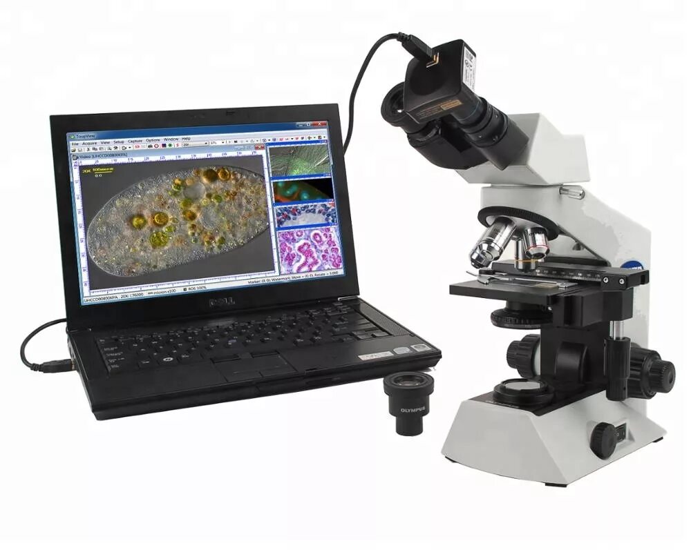 Microscope camera