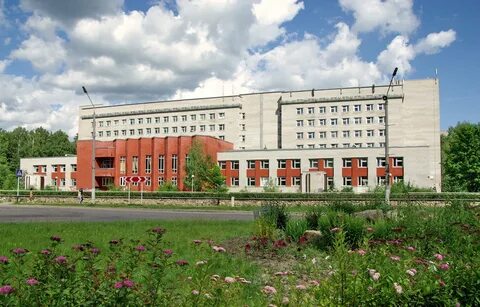 Московская область взрослые поликлиники