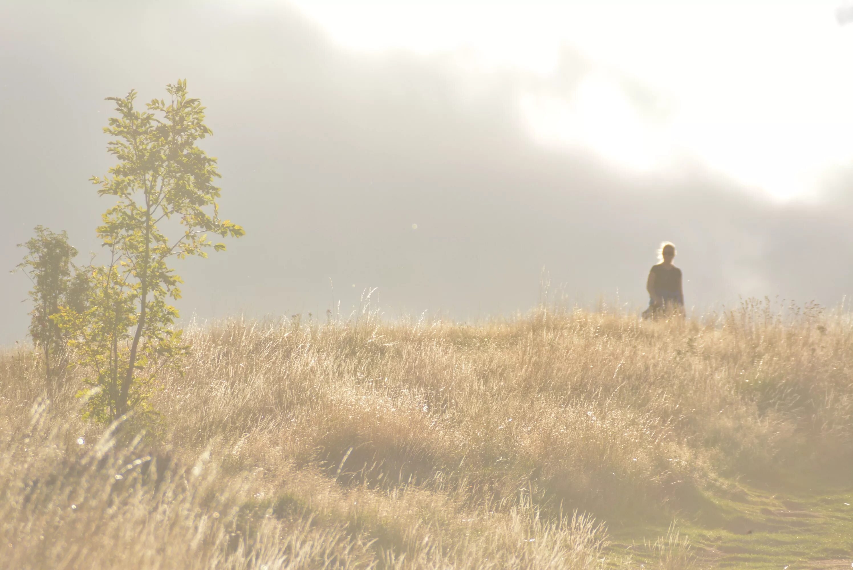 Степь с дорогой. Уйти в степь. Мужчина в степи. Туман в степи. Лето в степи.