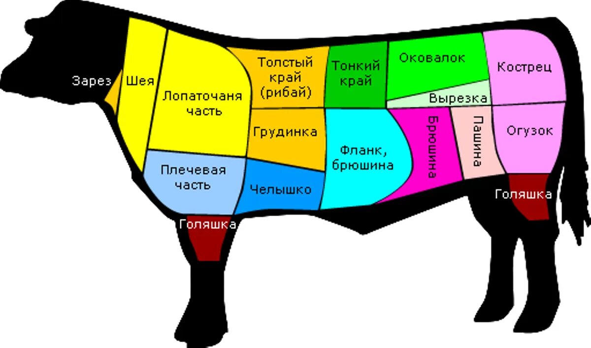 Высший сорт мяса коровы сканворд 8