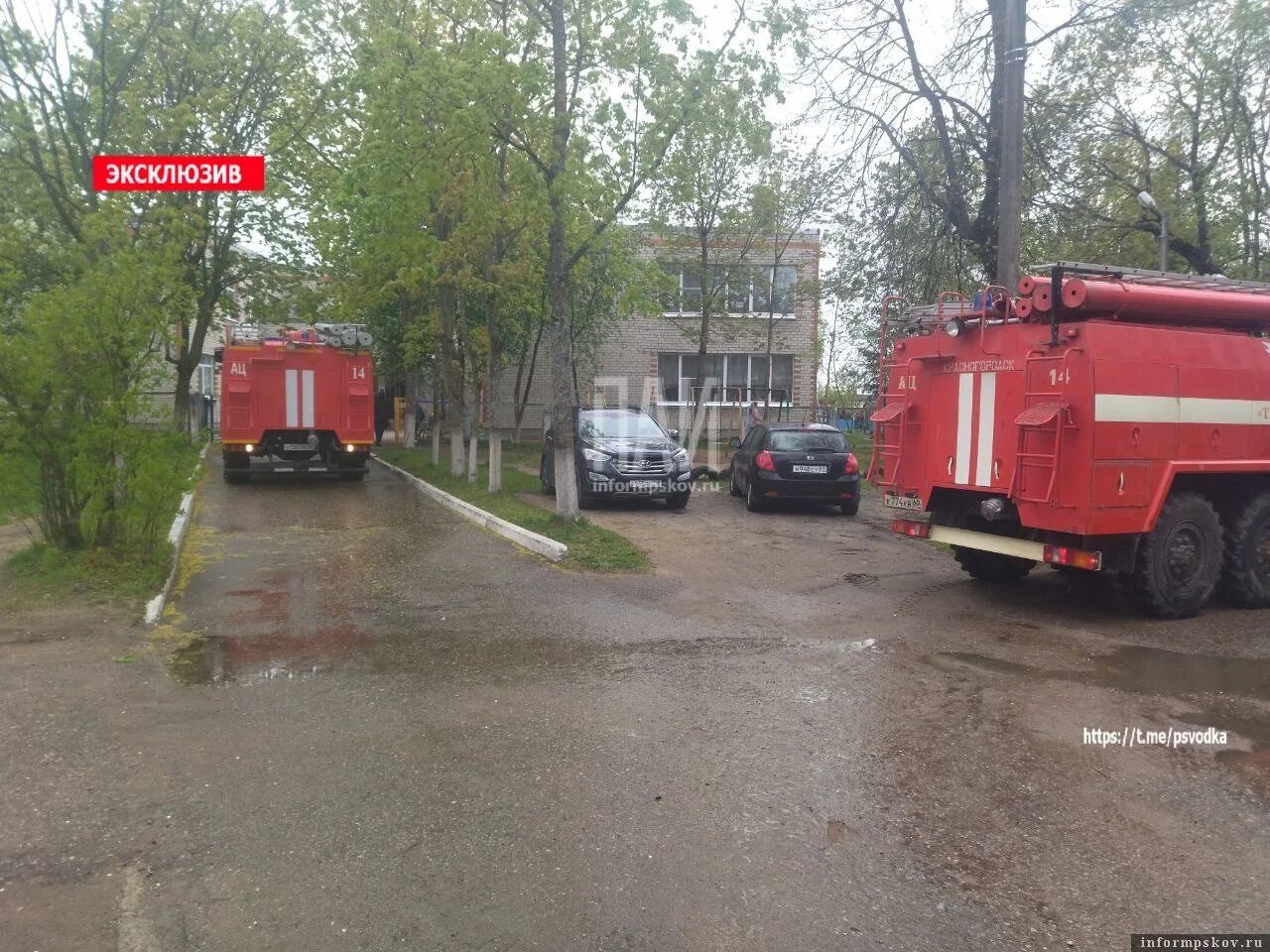 Белый дом красногородск. Погода в красногородске псковской на 3. Краснощёков красногородск псковская область. Подслушано в красногородске. Красногородск полиция.