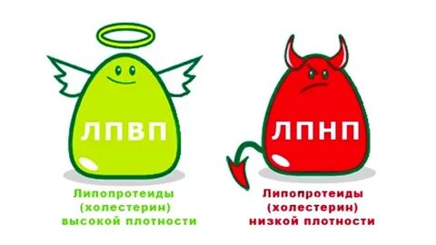 Лпвп повышен