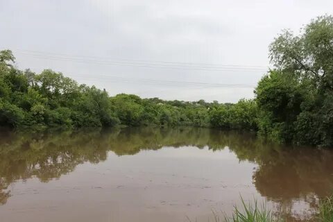 Погода сулина