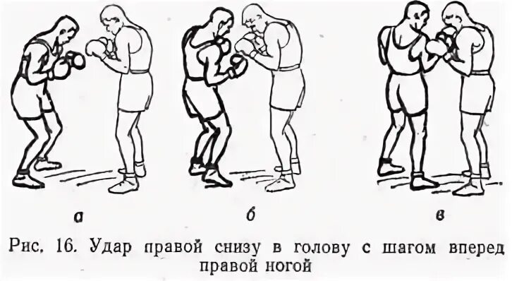 Удар правой. Ближний бой в боксе Огуренков. Боковой удар левой в голову. Удар снизу в боксе.