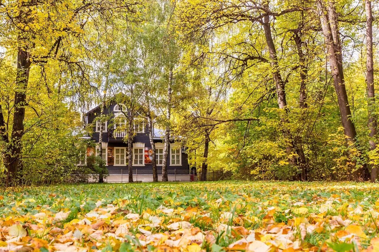 Паустовский кузьминки. Парк Кузьминки Паустовский. Усадьба Паустовского в Кузьминках. Кузьминки Москва парк осень. Музей к. г. Паустовского (Москва).