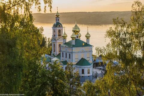 Золотой плес