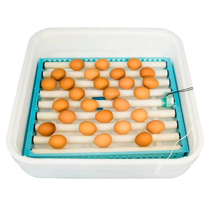 Инкубатор птичий двор. Инкубатор для яиц автоматический птичий двор модель а-64. Инкубатор для яиц автоматический "птичий двор" модель а-54. Инкубатор для яиц автоматический "птичий двор" модель а-54. Умный инкубатор птичий двор smart-240.