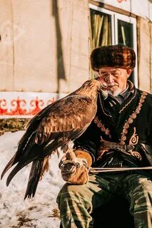 Беркут казахстан