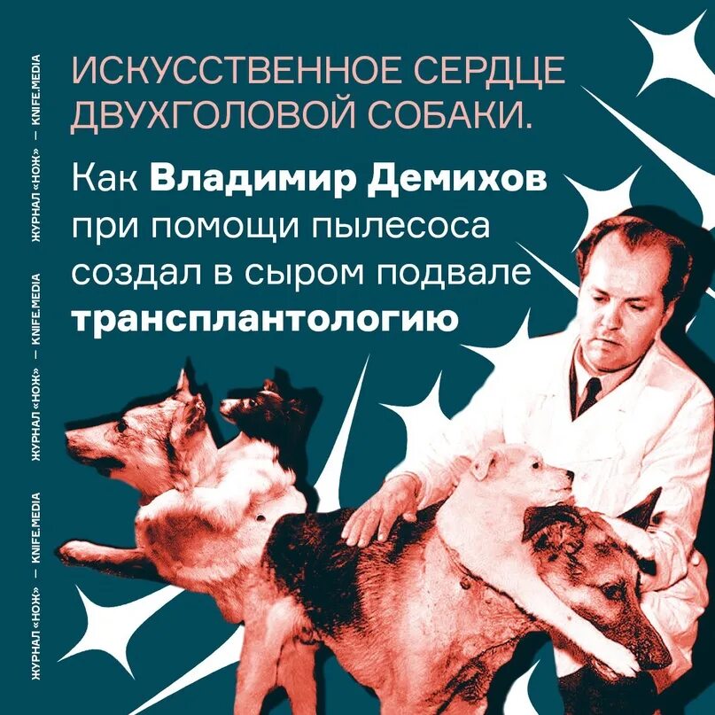 Дом сумасшедшего хирурга