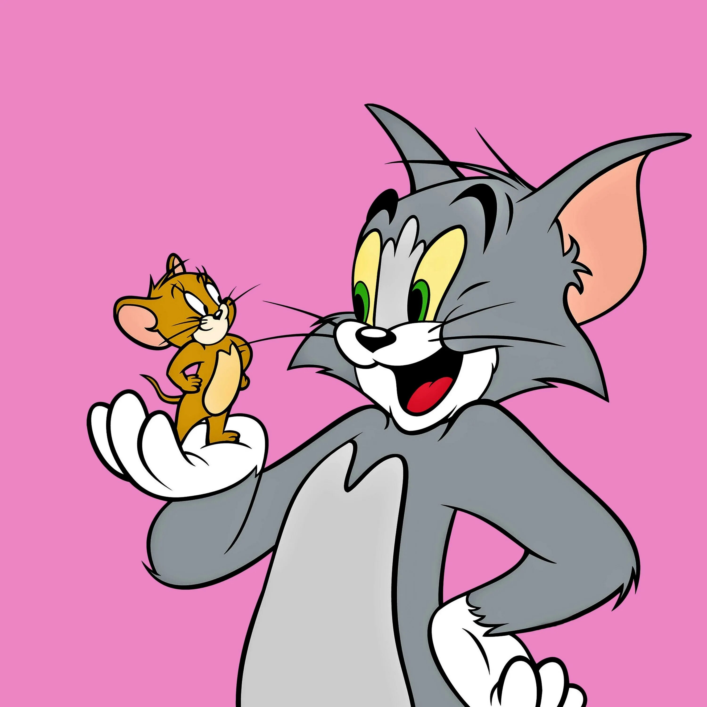 1 й том. Tom and Jerry. Том ва Джерри. Том картинки. Том и Джерри картинки.