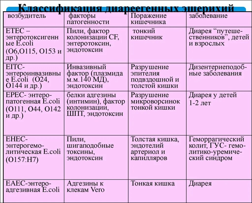 Группы патогенности инфекций. Возбудители кишечных инфекций эшерихии. Классификация эшерихии коли. Факторипатогености эшрехия. Факоры патогеннойти эшерихии.