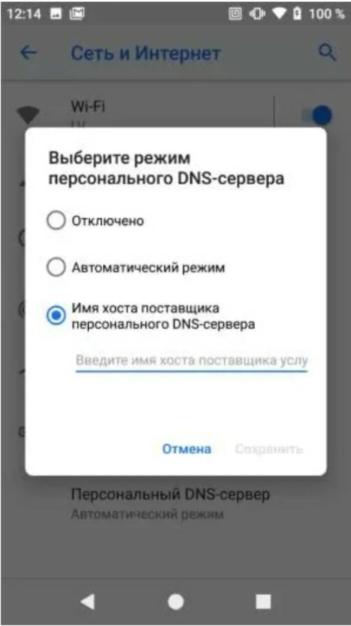 Имя хоста поставщика dns сервера. Персональный dns сервер. персональный dns сервер android. частный dns сервер на honor. как поменять dns сервер на андроид.