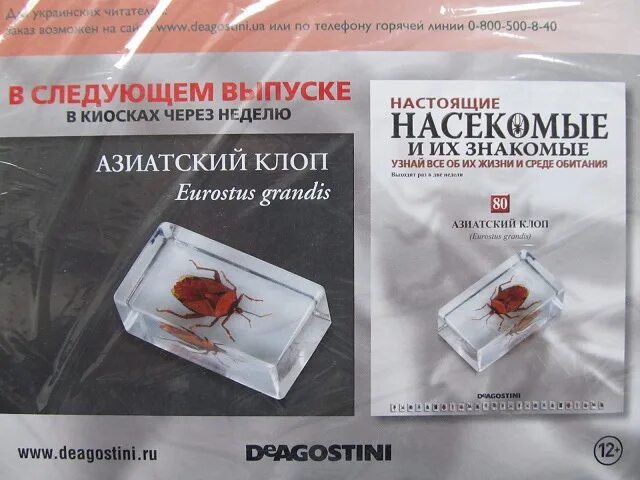 деагостини насекомые. жук-двухвостик с журналом насекомые и их знакомые выпуск. золотой скорпион деагостини. настоящие насекомые и их знакомые вся коллекция. журнал насекомые и их знакомые.