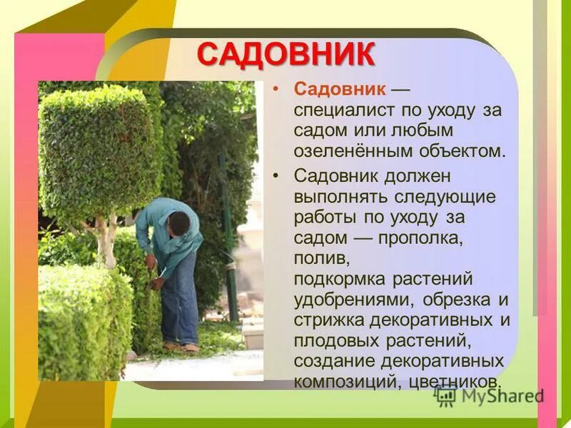 Профессия садовод презентация. Колледж садовник. Садовник. Сообщение о профессии садовод. Профессия садовод презентация.