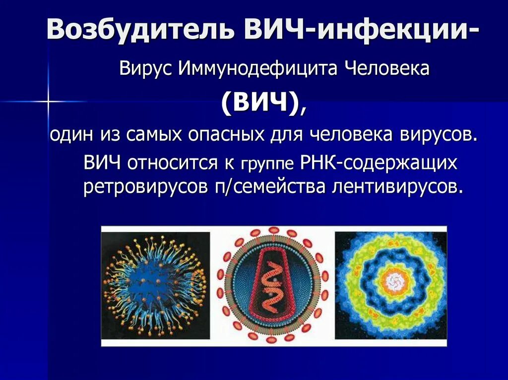 Вирус спида название. Вирус иммунодефицита человека. Вирус ВИЧ. Возбудитель ВИЧ инфекции является. Вирус иммунодефицита (ВИЧ).