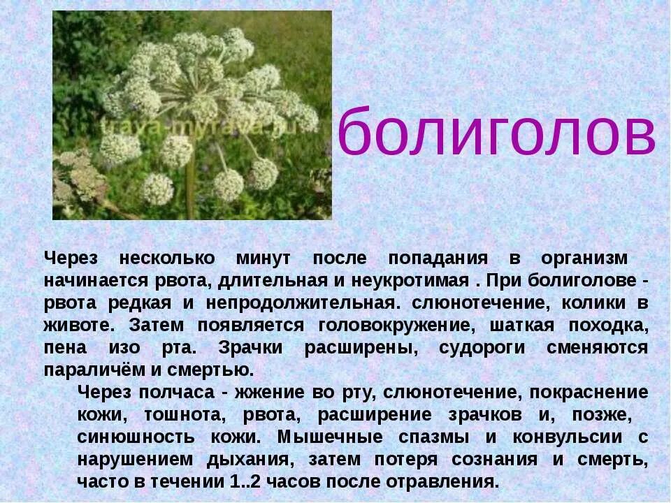 Через несколько минут после