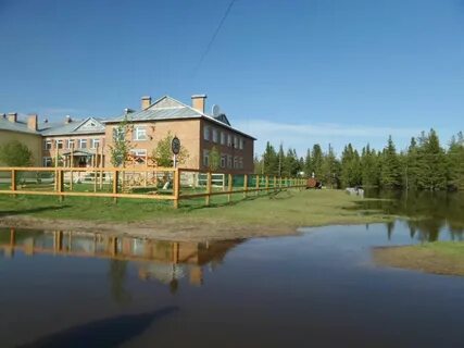 Новый бор усть цилемский коми