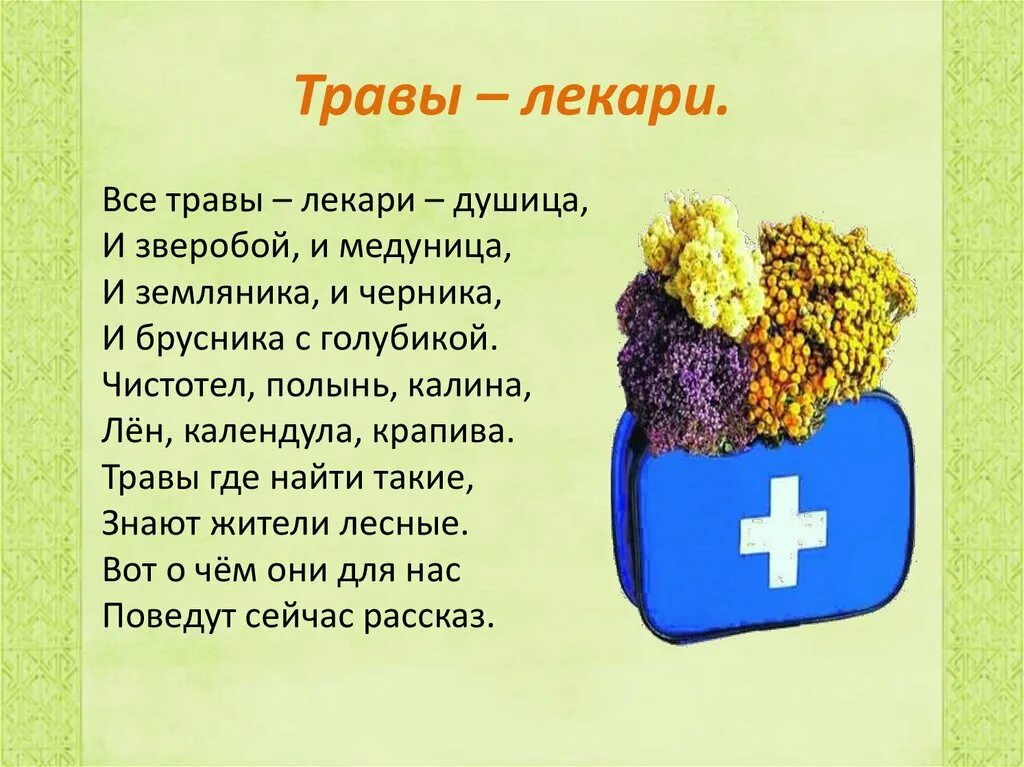 Стихи о лекарственных растениях для детей. Стихотворение о растении. Стихотворение о растении. Стихи о лекарственных растениях. Стихи про растения.