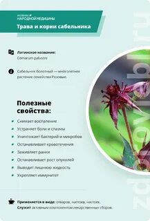 Сабельник трава инструкция