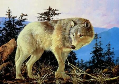 Wolf other