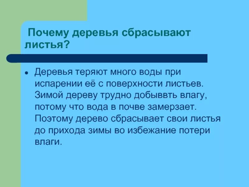 Почему деревья сбрасывают листья. Почему деревья сбрасывают листья осенью. Почему растения сбрасывают листья осенью. Зачем растения сбрасывают листву. Почему растения сбрасывают листья