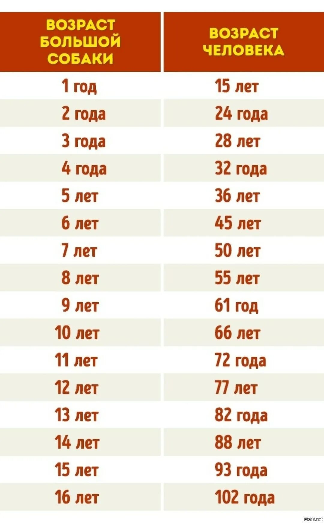 Самой то сколько лет. Возраст собаки по человеческим меркам таблица. Мерки возраста собак по человеческим меркам таблица. Собаки сколько лет по человеческим меркам таблица год. Собака 13 лет Возраст по человеческим меркам таблица.