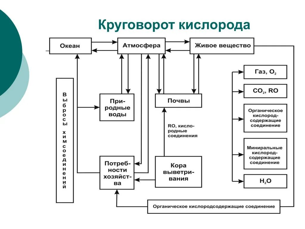 Круговорот кислорода процессы. Составление схем круговорота кислорода. Биологические циклы кислорода схема. Круговорот кислорода в биосфере схема. Биохимический цикл кислорода схема.